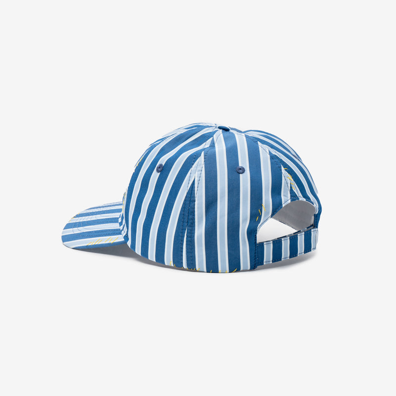 Striped Embroidered Cap